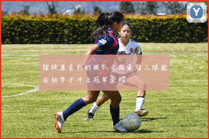 赌徒康奈利的狼队之路豪赌三球能否助华子冲击冠军荣耀